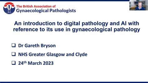 british association of gynae pathologists